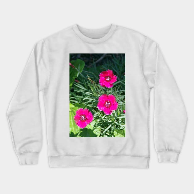 Triplets Crewneck Sweatshirt by srosu